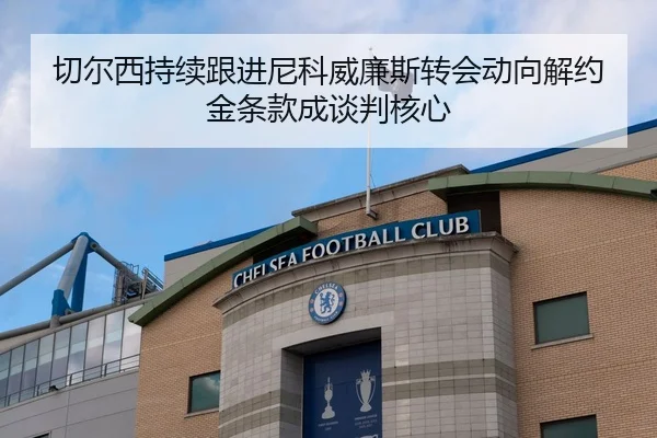 切尔西持续跟进尼科威廉斯转会动向解约金条款成谈判核心